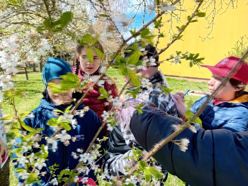 ŠKOLNÍ DRUŽINA - Jak jsme se měli v DUBNU?